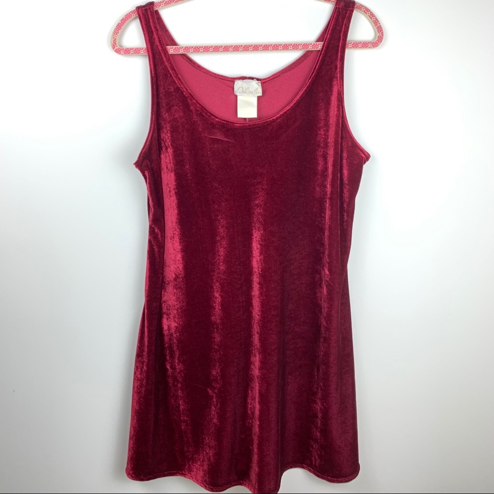 Vintage velvet dress
